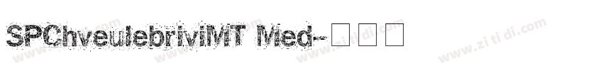SPChveulebriviMT Med字体转换